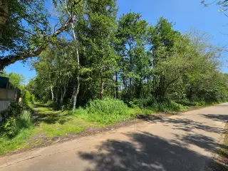 Commercial building for sale Mol (RBT63277)