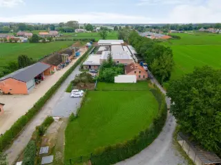 Handelspand te koop Kasterlee (RBT63278)