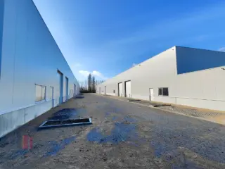 Industrie te huur Blankenberge (RBT63644)