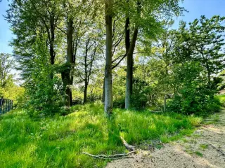 Grond te koop Orroir (RBT64769)