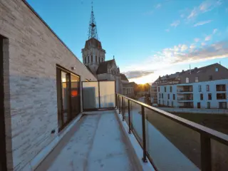 Appartement à louer Asse (RBT66903)