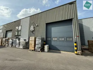 Industrial building for sale Schelle (RBT66918)