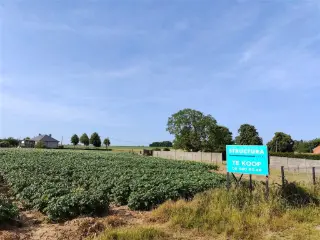 Development site for sale Brussegem (RBT69621)