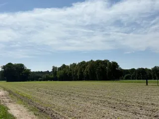 Farmland for sale Geel (RBT74731)