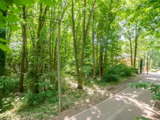 Terrain à bâtir à vendre Rotselaar (RBT75851)