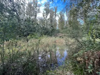 Landbouwgrond te koop Zandhoven (RBT76369)