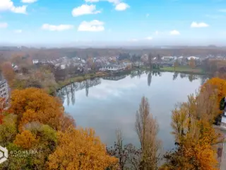 Handelspand te koop Mechelen (RBT76740)