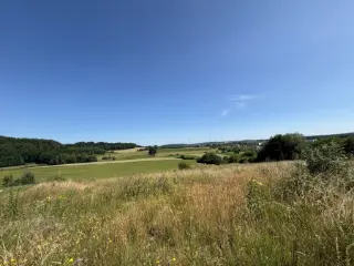 Terrain à vendre Gonderange (RBT77562)