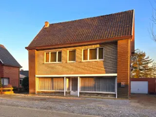 Handelspand te koop Lummen (RBT78182)