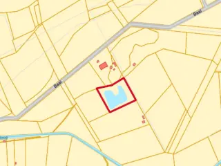 Farmland for sale Tessenderlo (RBT82106)