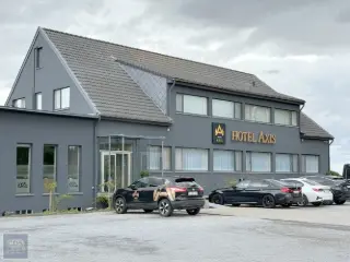 Handelspand te koop Kortenberg (RBT82232)