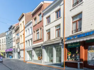 Opbrengsteigendom te koop Halle (RBT82816)