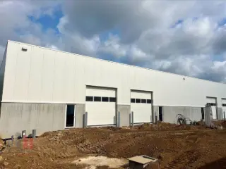 Surface industrielle à louer Tienen (RBT83170)