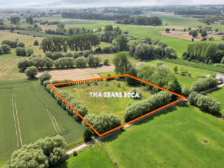 Farmland for sale Ninove (RBT83859)