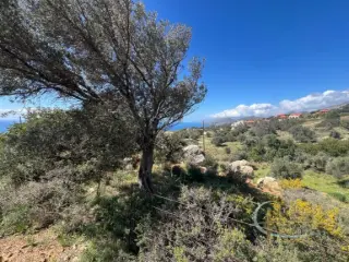 Residence for sale Agia Paraskevi (RBT85421)