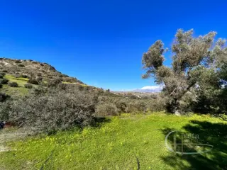 Residence for sale Pitsidia (RBT85432)