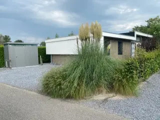 Maison à vendre Biddinghuizen (RBT85637)