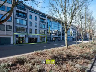 Handelspand te koop Hasselt (RBT86771)
