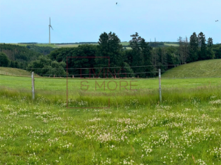 Landbouwgrond te koop Consthum (RBT89555)