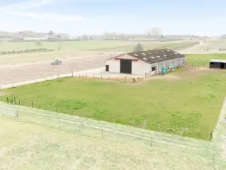 Surface industrielle à vendre Lede (RBT89829)