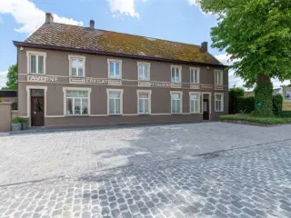 Handelspand te koop Oudenaarde (RBT90099)