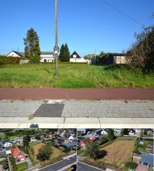 RBT90243