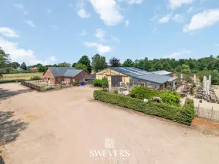 Handelspand te koop Tessenderlo (RBT90784)