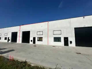 Industrial building for rent Waregem (RBT90958)