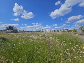 Land for sale Luxembourg (RBT91107)