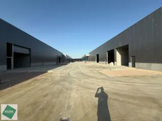 Industrial building for sale Brugge (RBT91329)