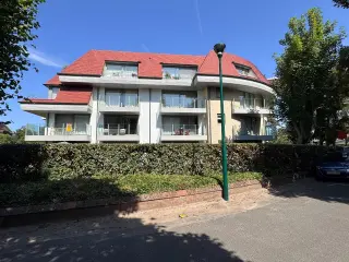 Rez-De-Chaussée à vendre La Panne (RBT95685)