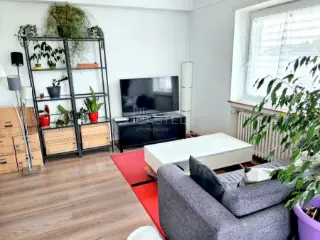 Appartement à louer Luxembourg (RBT97190)