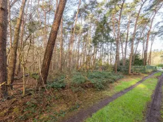 Landbouwgrond te koop Vorselaar (RBT97964)