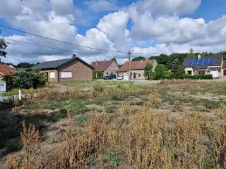 Grond te koop Begijnendijk (RBU00428)