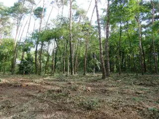 Terrain à bâtir à vendre Keerbergen (RBU00509)