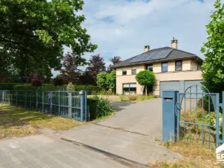 Maison à vendre Lommel (RBU00856)