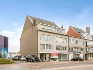 Handelspand te koop Hasselt (RBU00982)