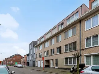 Handelspand te koop Hasselt (RBU00983)