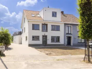 Kot te koop Geel (RBU01201)