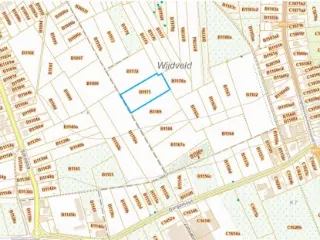 Farmland for sale Meerhout (RBU01206)