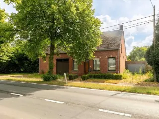 Maison à vendre Westerlo (RBU01284)