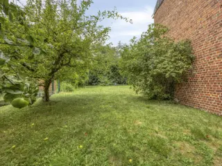 Grond te koop Gijzegem (RBU01717)