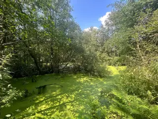 Farmland for sale Geel (RBU03631)