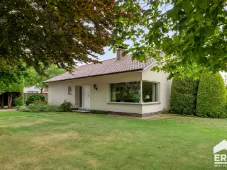 Maison à vendre Lommel (RBU03946)