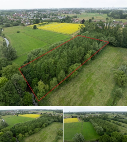RBU04409