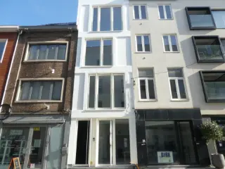 Surface commerciale à louer Malines (RBU04949)