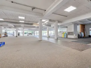 Surface commerciale à vendre Hulste (RBU05118)