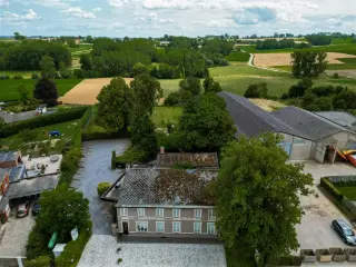 Handelspand te koop Oudenaarde (RBU05488)