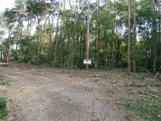 Terrain à bâtir à vendre Keerbergen (RBU08401)