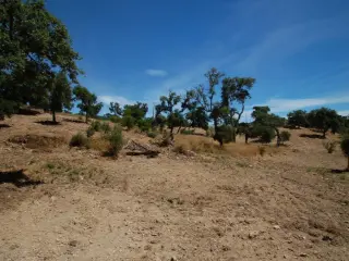 Huis te koop São Brás de Alportel (RBU10152)